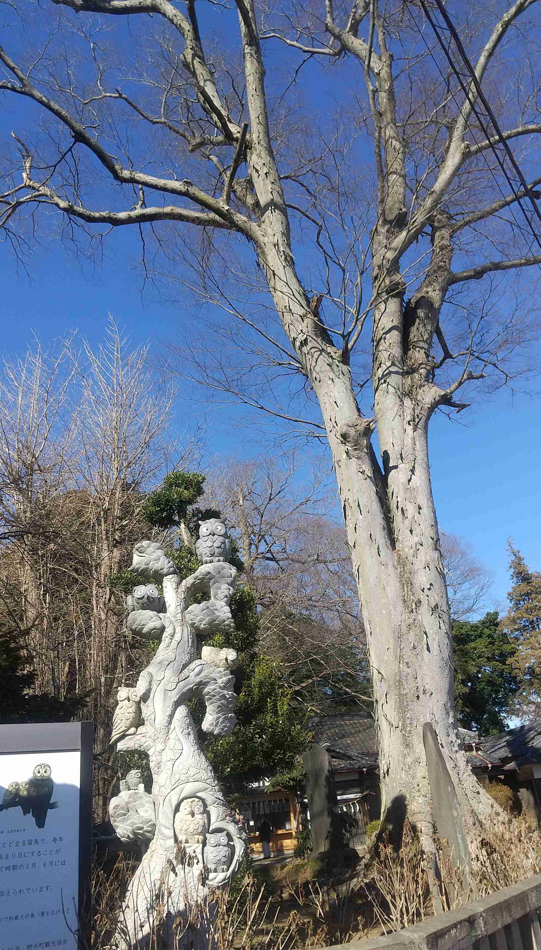 【パワースポット】自分で撮影した神社の写真貼るトピ
