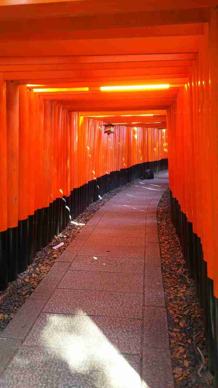 【パワースポット】自分で撮影した神社の写真貼るトピ