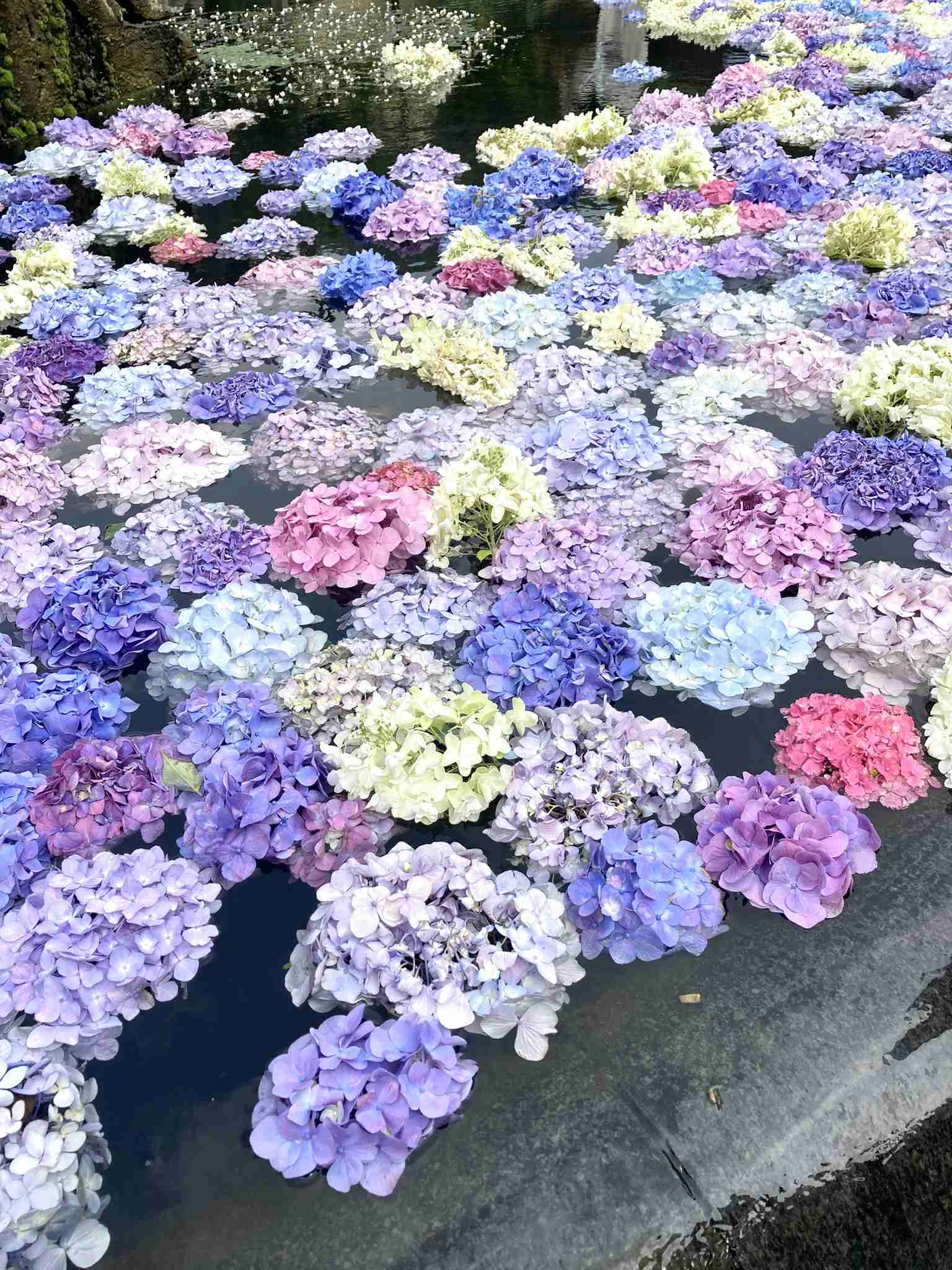 【パワースポット】自分で撮影した神社の写真貼るトピ