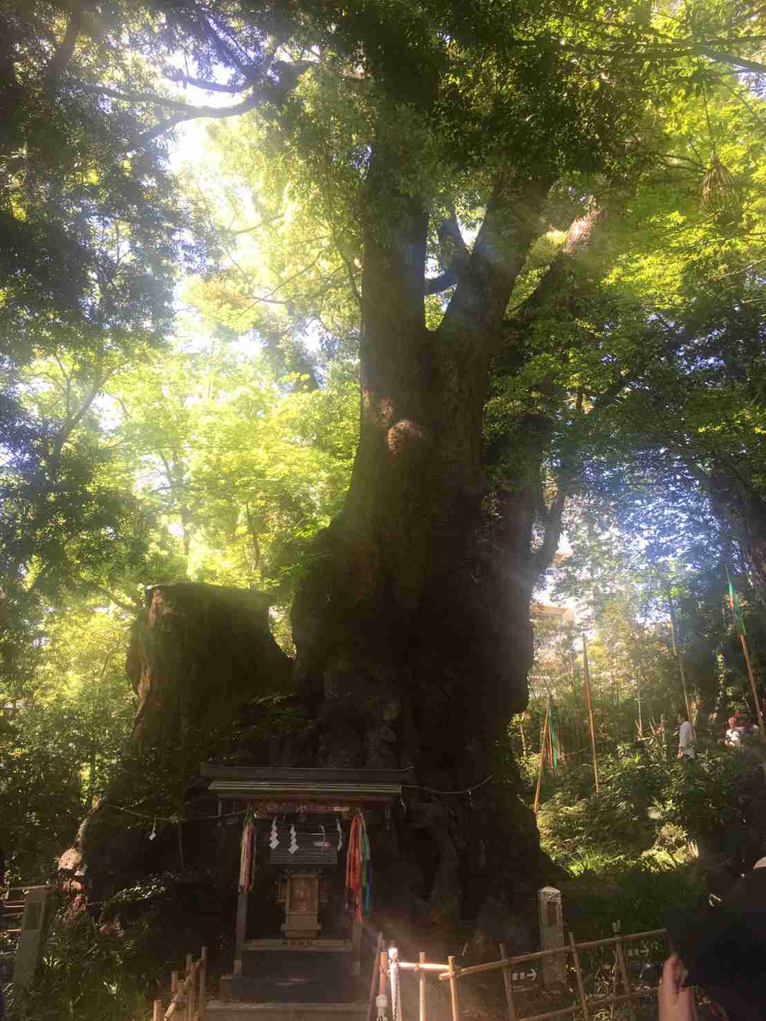 【パワースポット】自分で撮影した神社の写真貼るトピ