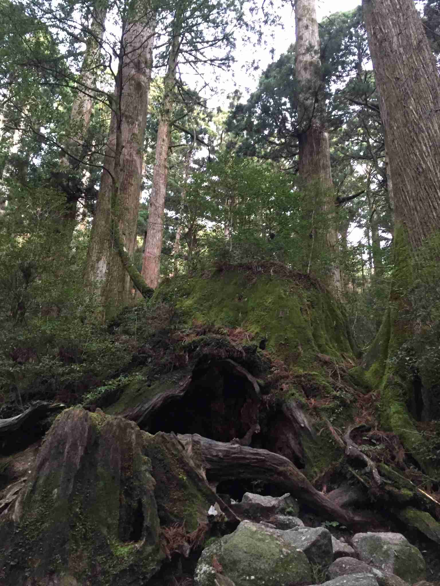 【パワースポット】自分で撮影した神社の写真貼るトピ