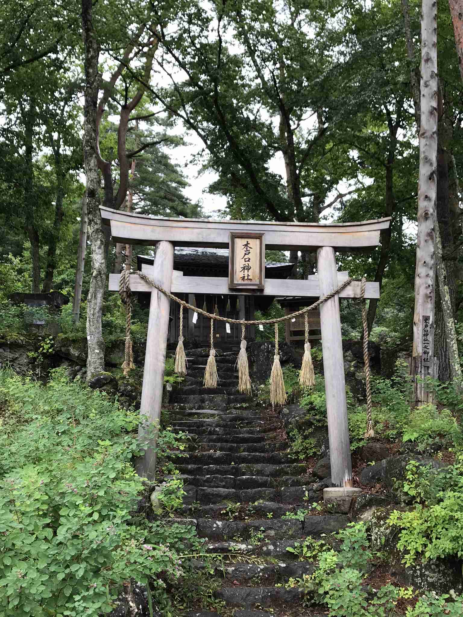 【パワースポット】自分で撮影した神社の写真貼るトピ