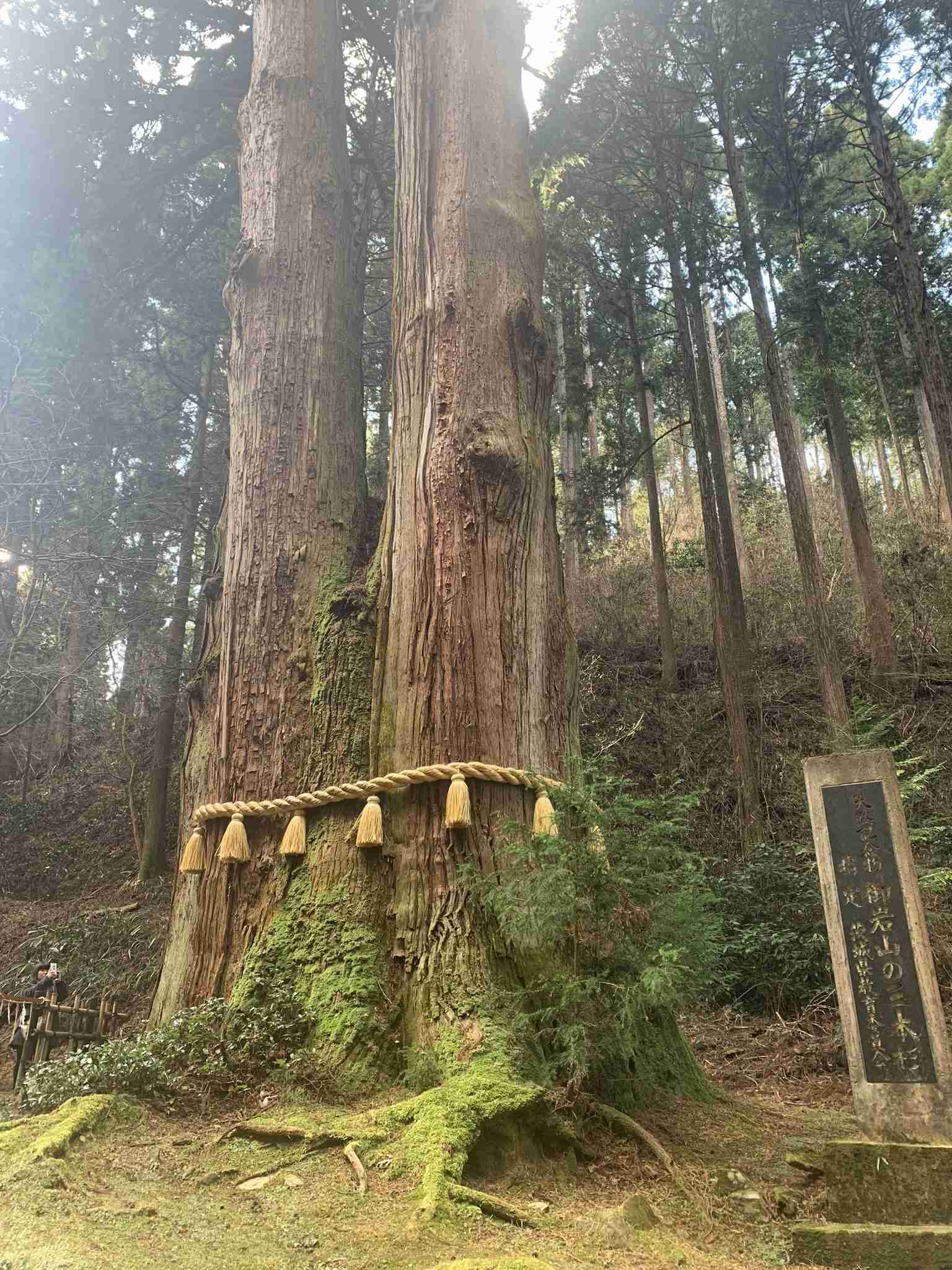 【パワースポット】自分で撮影した神社の写真貼るトピ