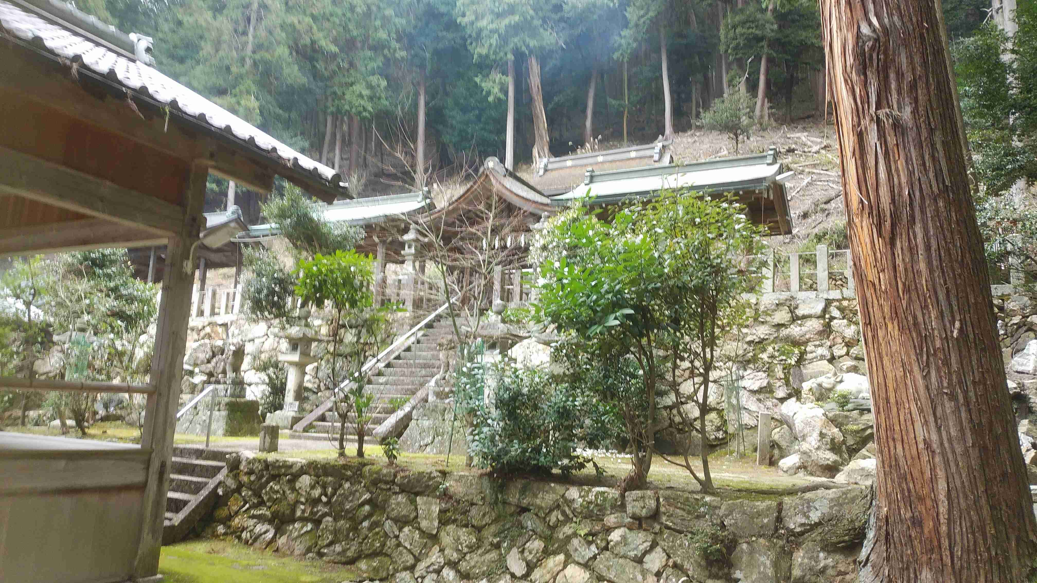 【パワースポット】自分で撮影した神社の写真貼るトピ