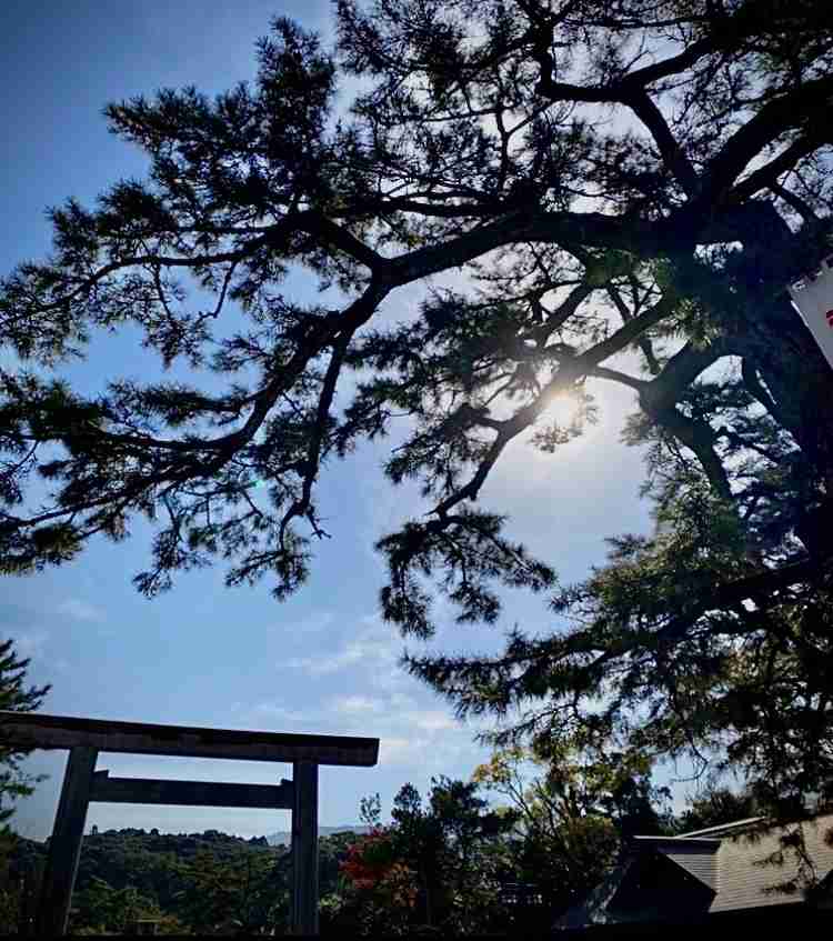 【パワースポット】自分で撮影した神社の写真貼るトピ