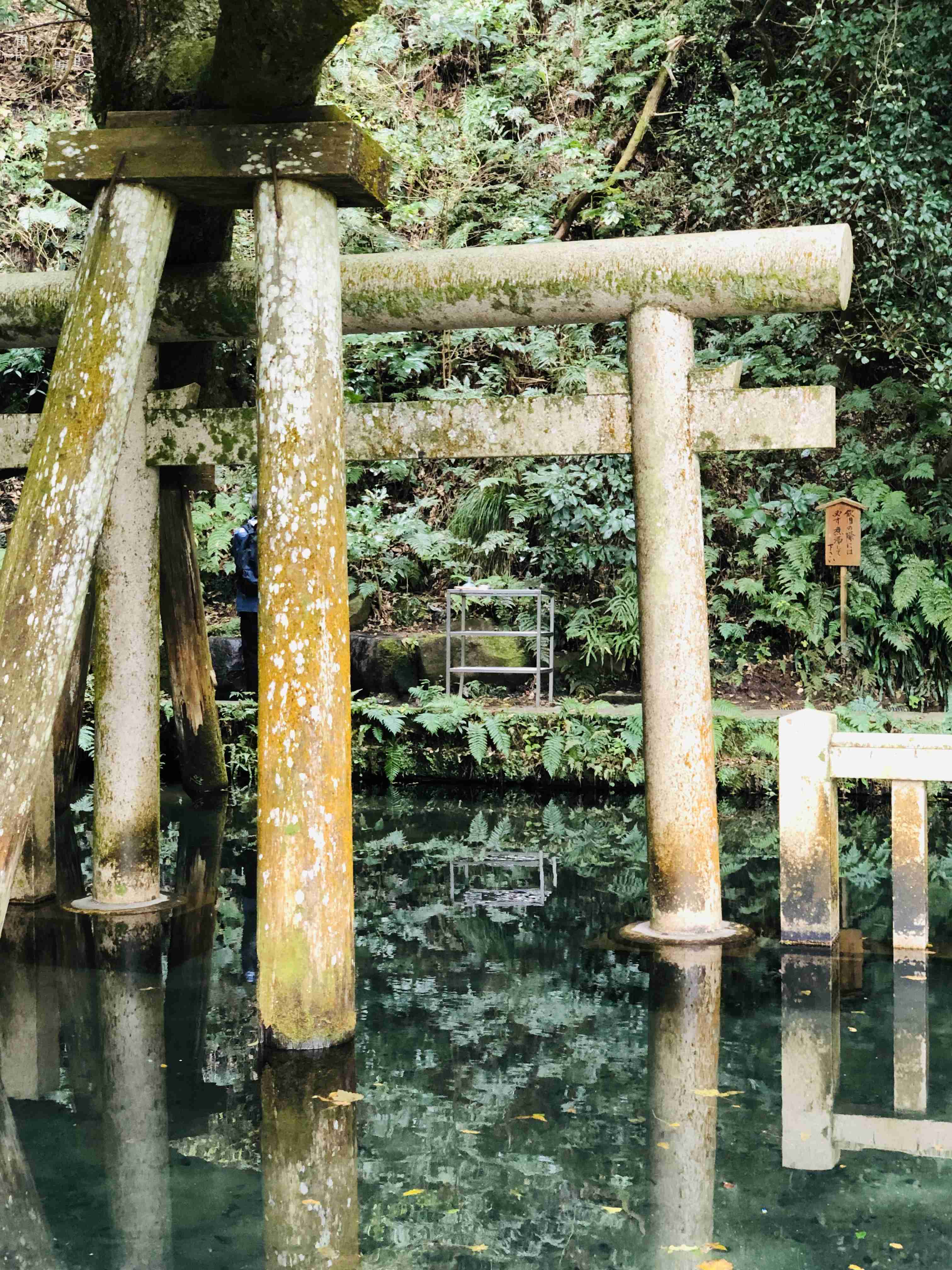 【パワースポット】自分で撮影した神社の写真貼るトピ