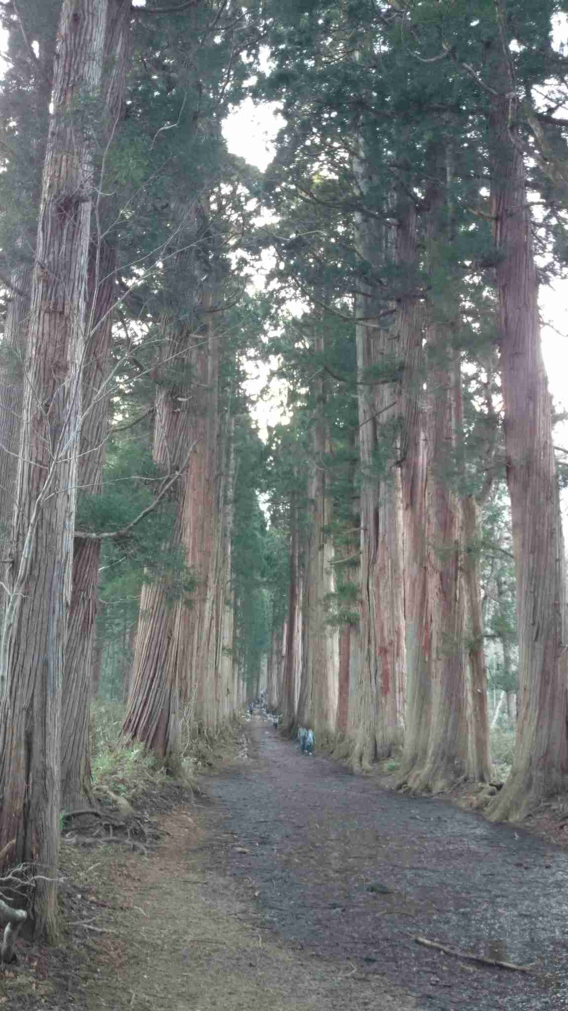 【パワースポット】自分で撮影した神社の写真貼るトピ