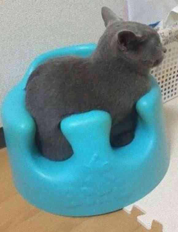 【一応閲覧注意】一瞬ギョッとしてしまいそうな画像を貼ってしまうトピ
