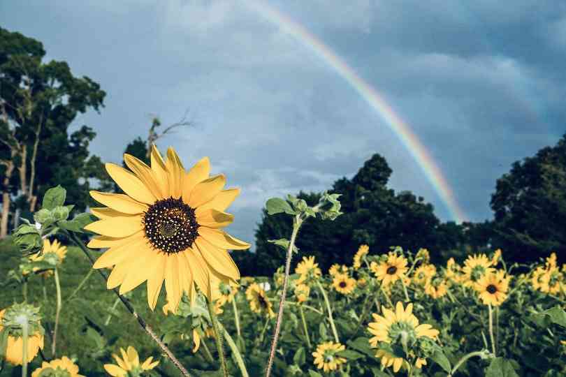 【悩み】周りの人が敵に見える