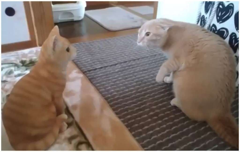 【悩み】周りの人が敵に見える