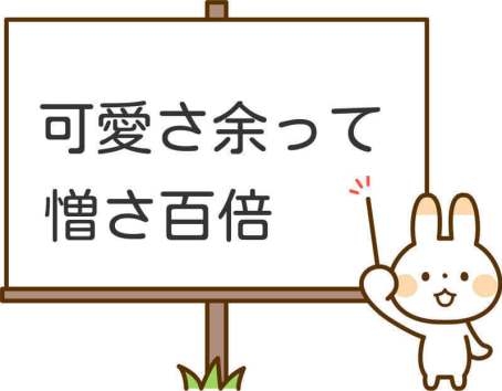 可愛さ余って憎さ100倍 | ガールズちゃんねる - Girls Channel