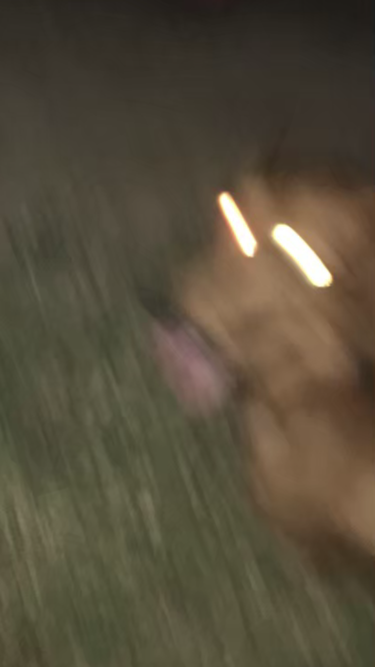 映えない写真選手権part2
