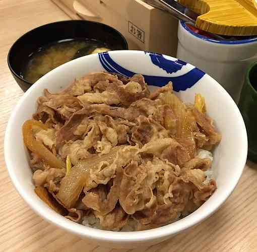 どこの牛丼が好き?