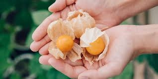どうやって食べるのかいつも悩む物