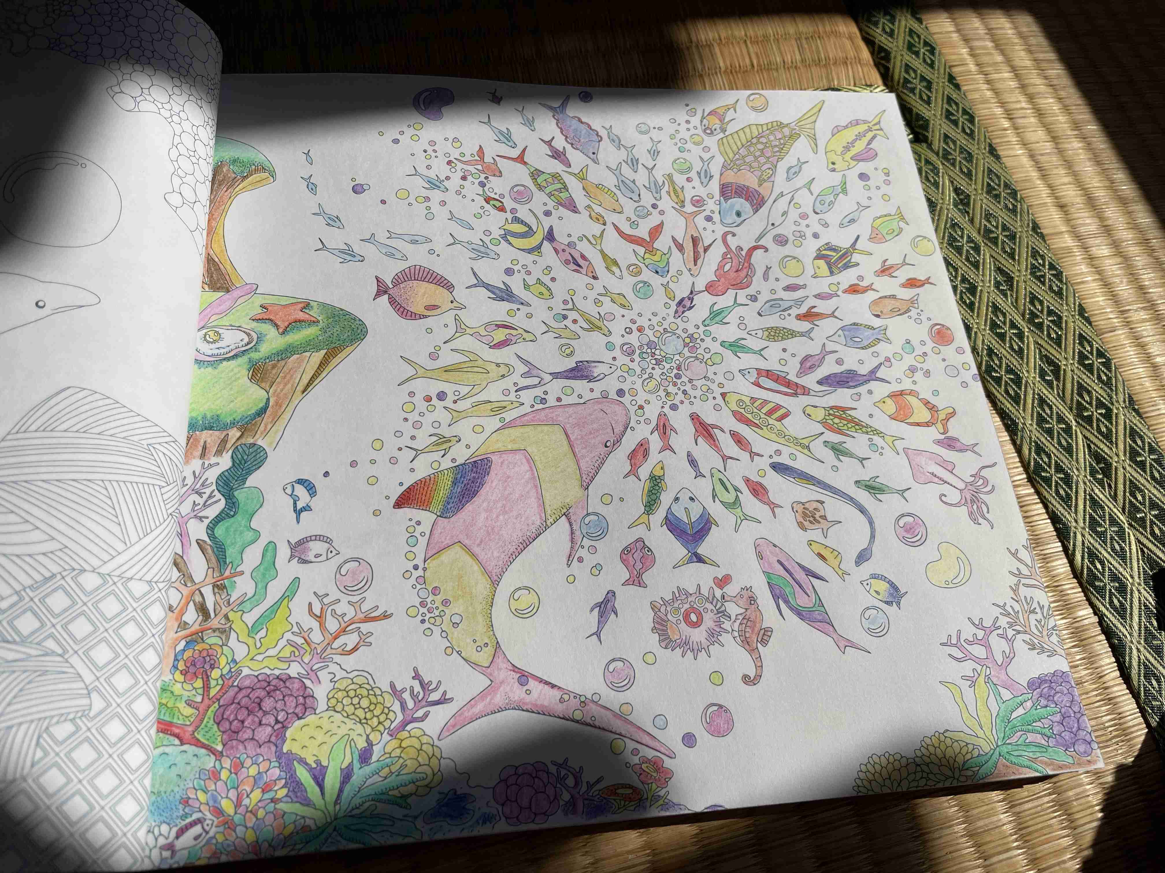 大人の塗り絵好きな人！