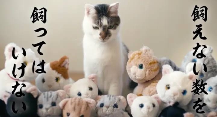 「シングルマザーで生活苦しく」　産んだばかりの女児を遺棄した疑い