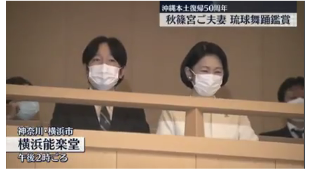 パールの写真見せて下さい！