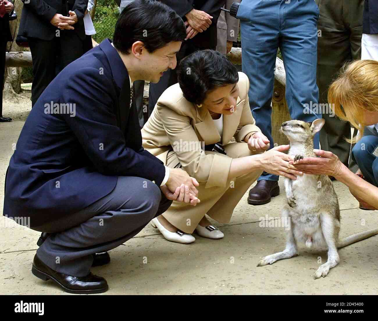 パールの写真見せて下さい！