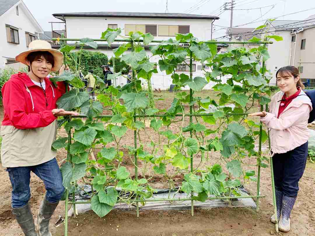 【家庭菜園】軽く自給自足生活がしたい!