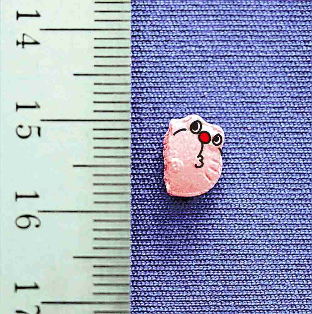 人気キャラクターを模した錠剤、実は覚醒剤…容疑の男「やばいものと思っていたが」