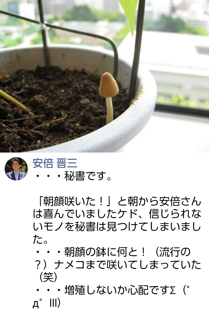 〈独自〉安倍元首相のデジタル献花を立ち上げ 25日から