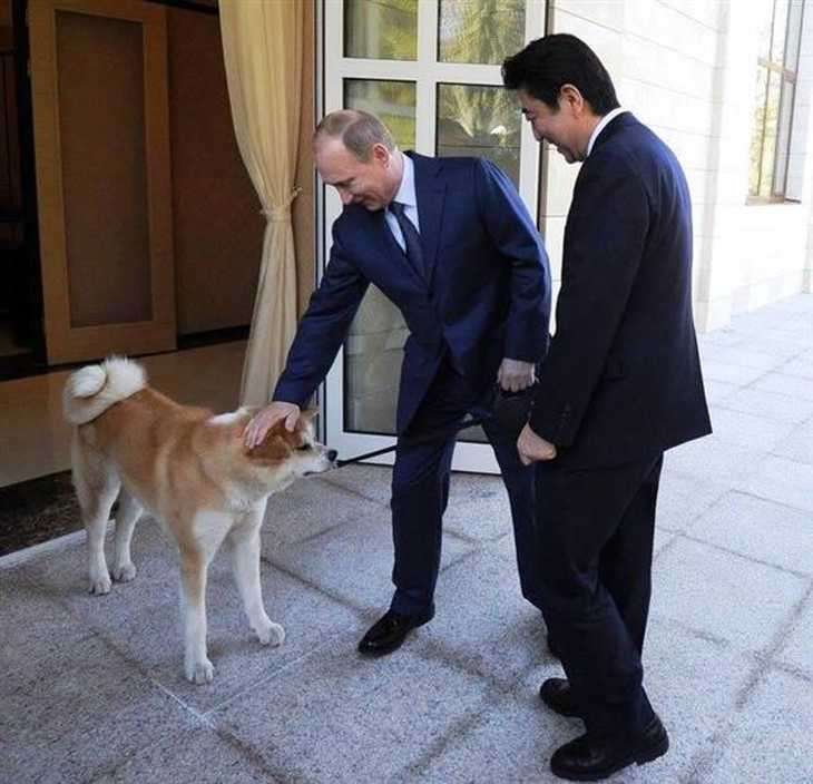 〈独自〉安倍元首相のデジタル献花を立ち上げ 25日から