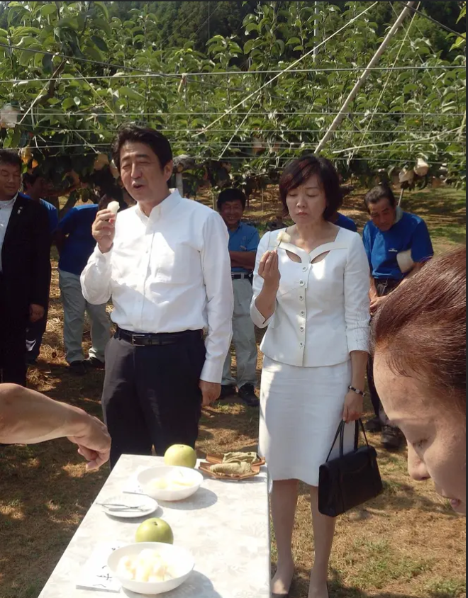 〈独自〉安倍元首相のデジタル献花を立ち上げ 25日から
