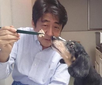〈独自〉安倍元首相のデジタル献花を立ち上げ　25日から