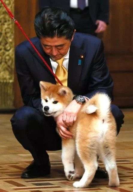〈独自〉安倍元首相のデジタル献花を立ち上げ　25日から