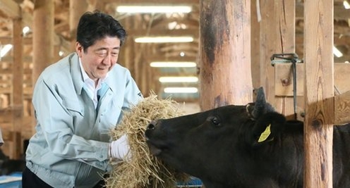 〈独自〉安倍元首相のデジタル献花を立ち上げ　25日から
