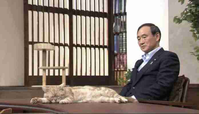 〈独自〉安倍元首相のデジタル献花を立ち上げ　25日から