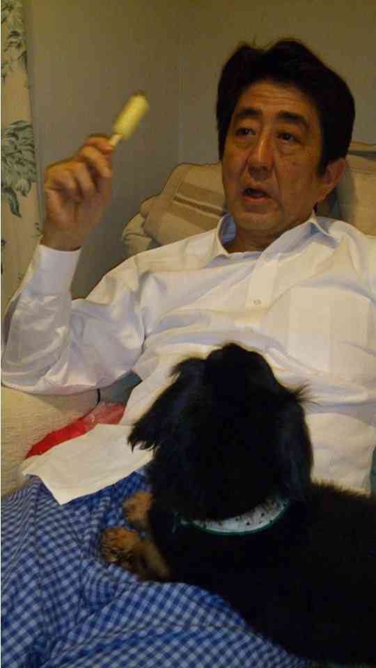 〈独自〉安倍元首相のデジタル献花を立ち上げ　25日から