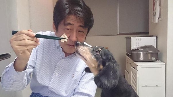 〈独自〉安倍元首相のデジタル献花を立ち上げ　25日から