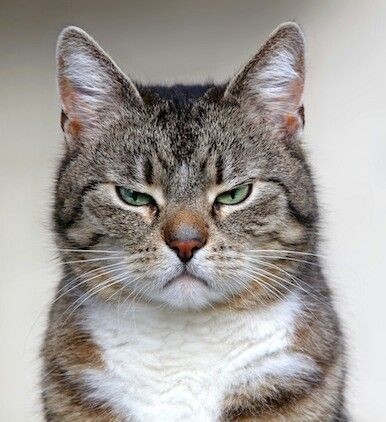 今日のイライラ発散