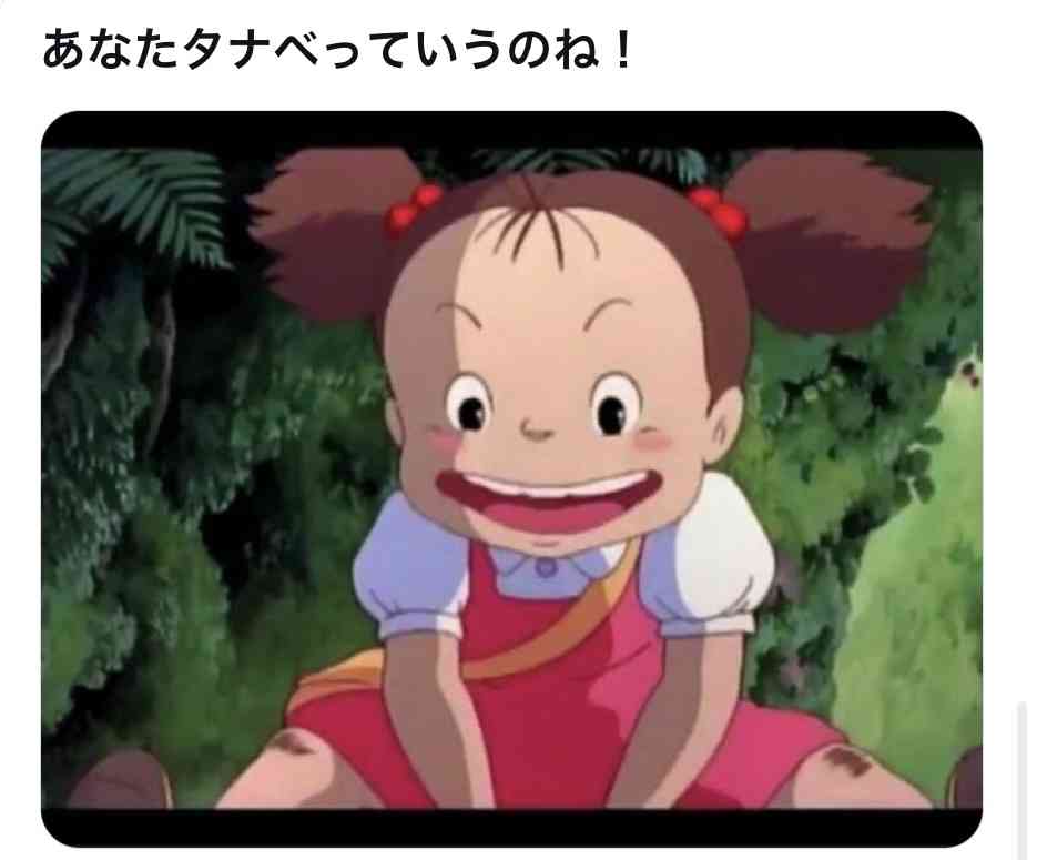 ぼる塾・田辺智加のリアル“トトロ”ショット反響 「待受にします」「癒される」