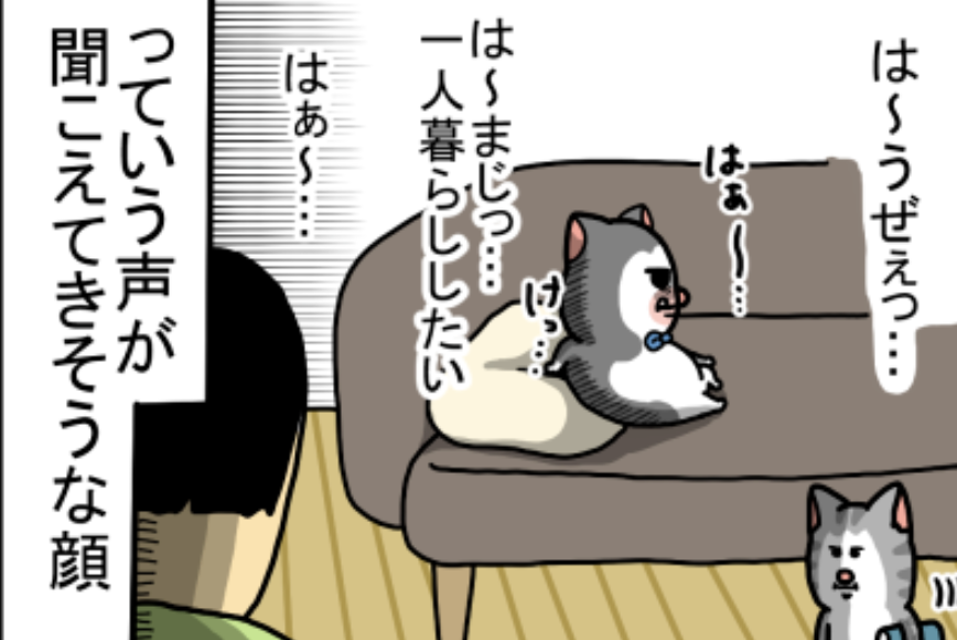 専業主婦だけど自室が欲しい