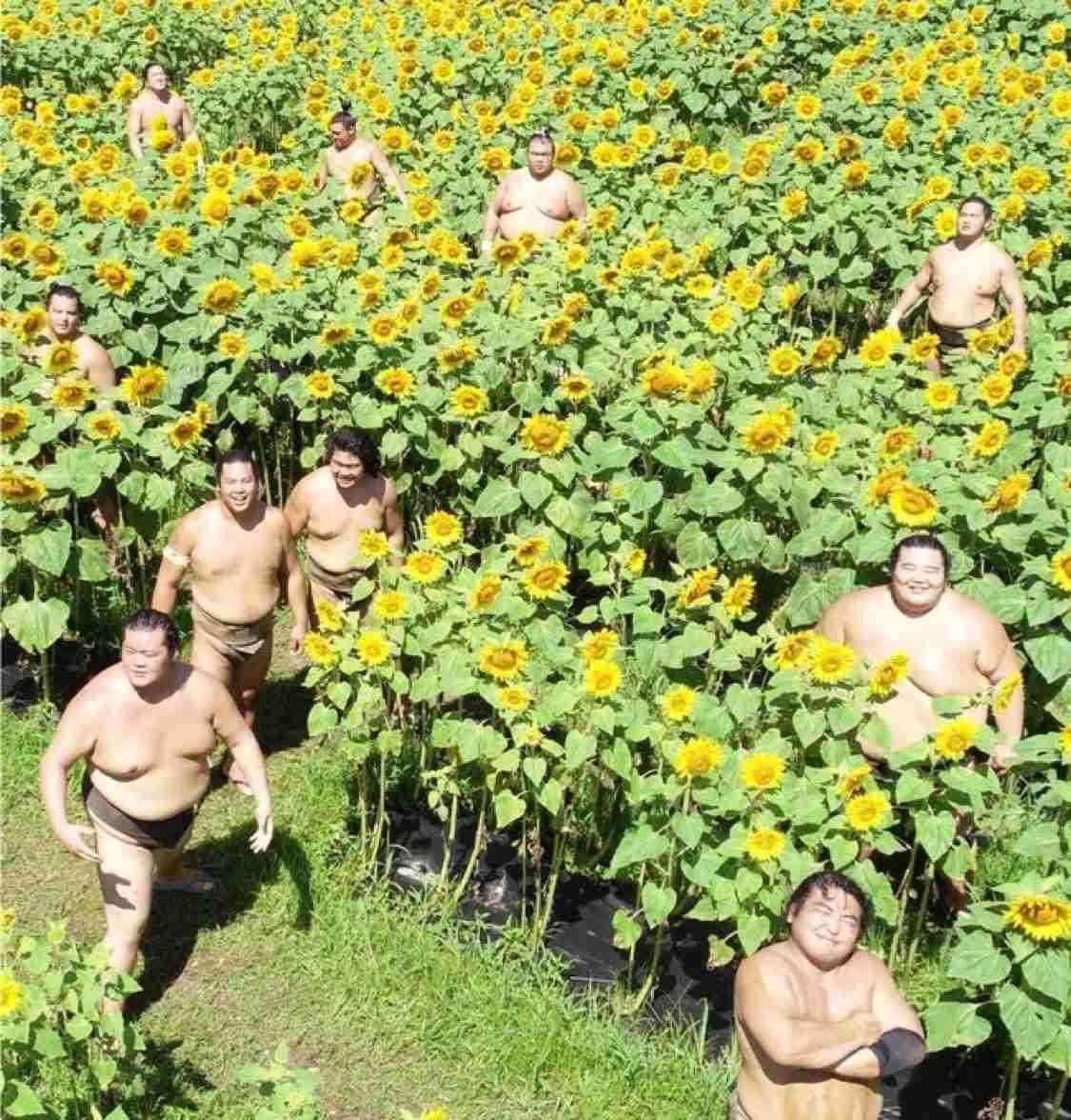 【動物以外】何か可愛いなと思った画像を貼るトピ