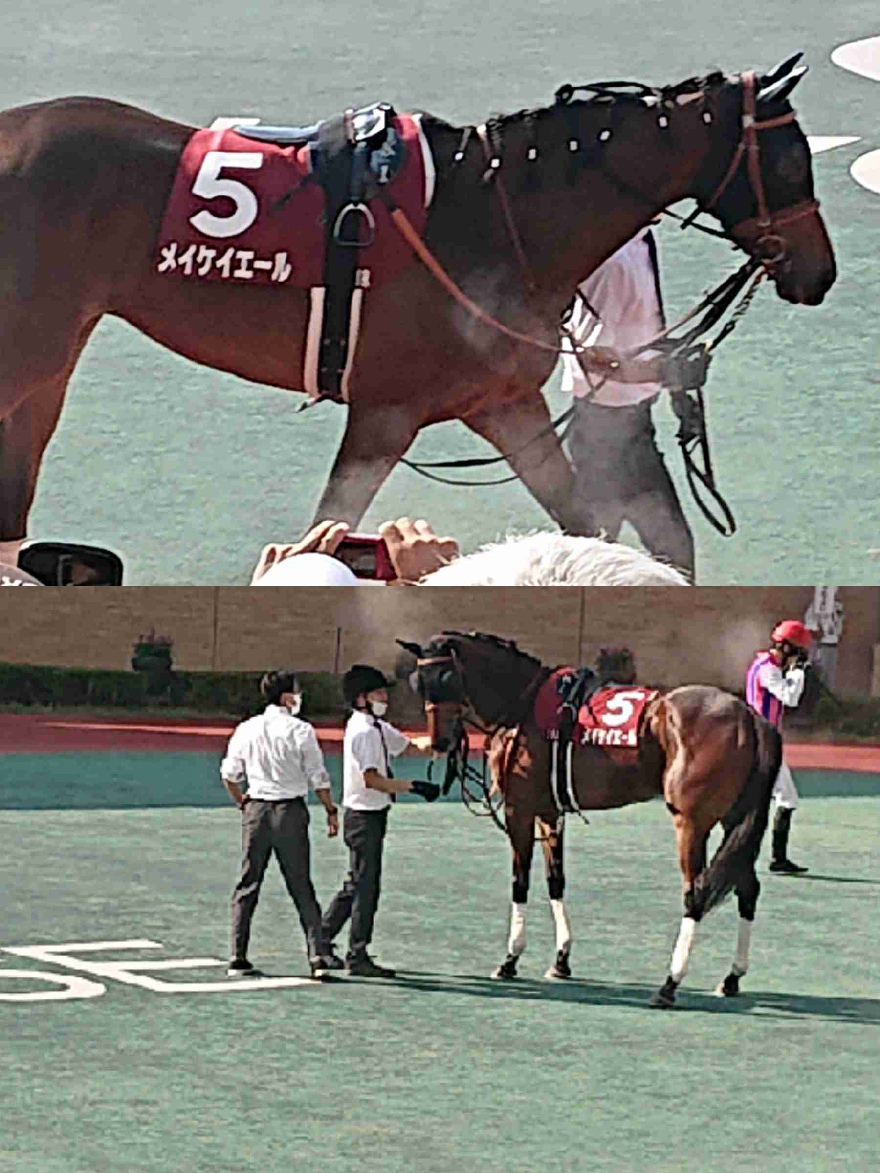 【競馬】UMAJO集まれ！ Part17