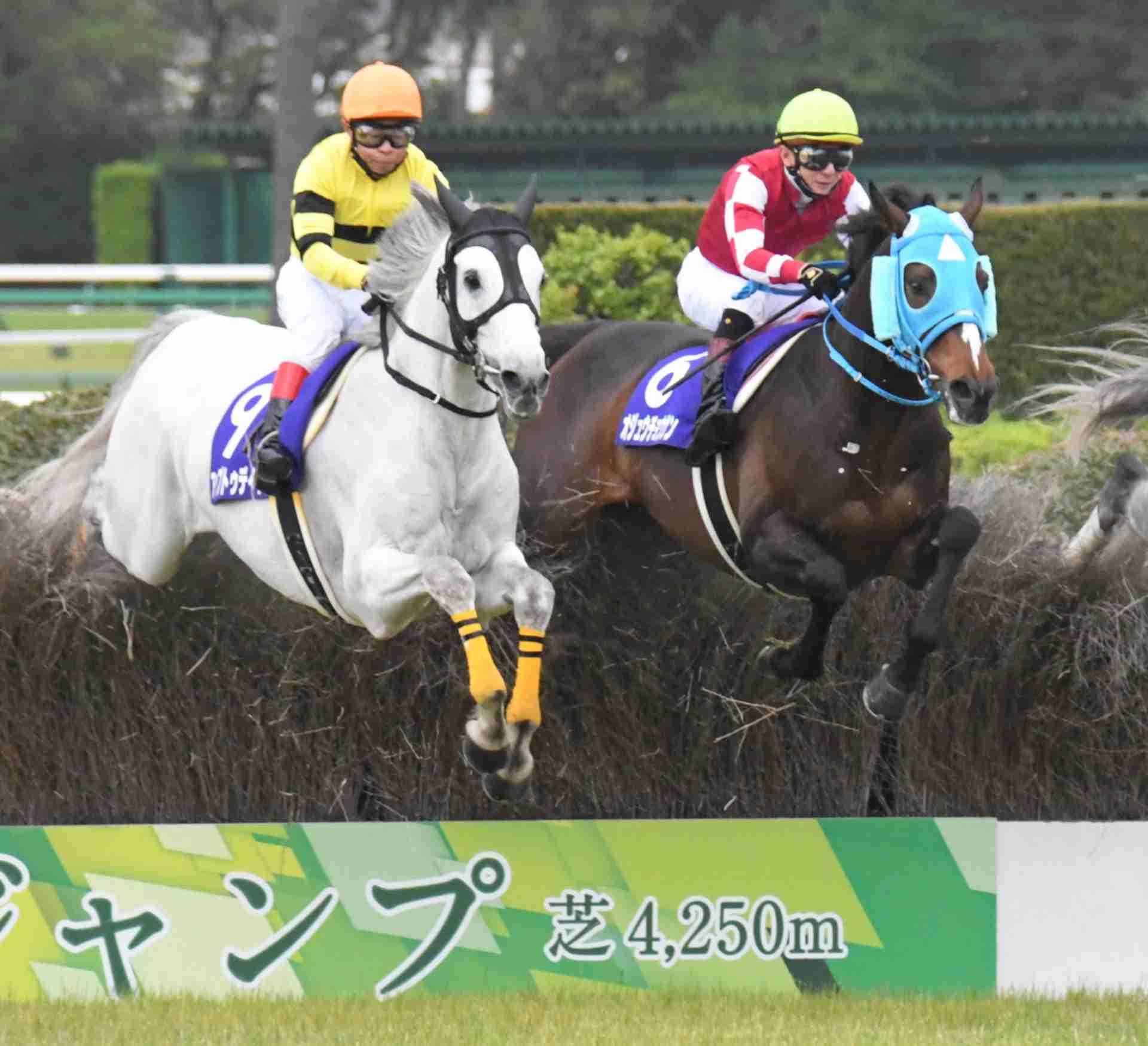 【競馬】UMAJO集まれ！ Part17