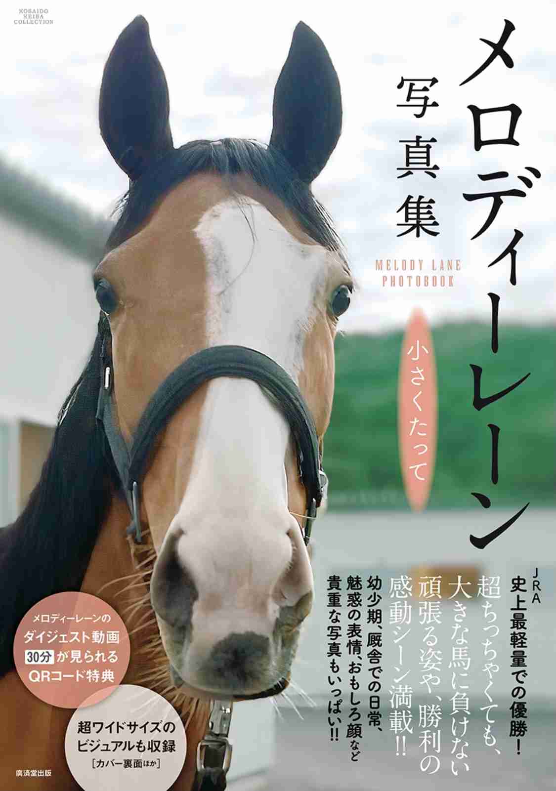 【競馬】UMAJO集まれ！ Part17