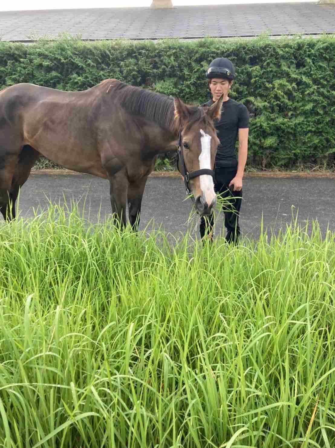 【競馬】UMAJO集まれ！ Part17