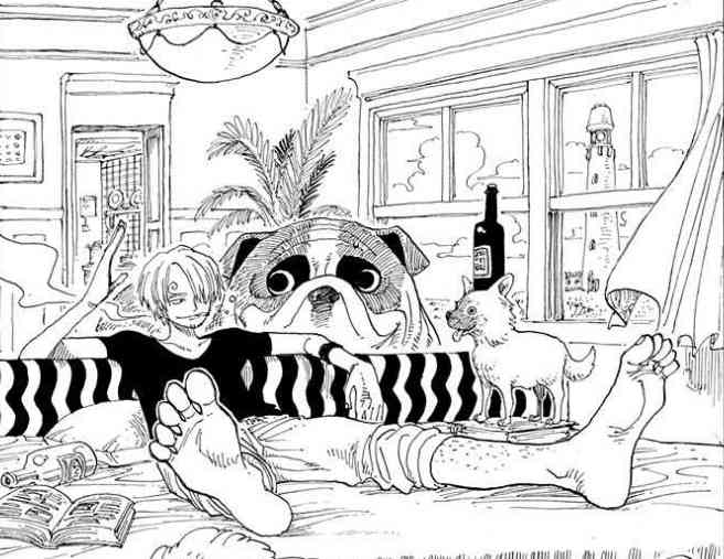 【ネタバレ注意】初期にワンピース脱落した人が知ったら驚きそうなことPart3【ONE PIECE】