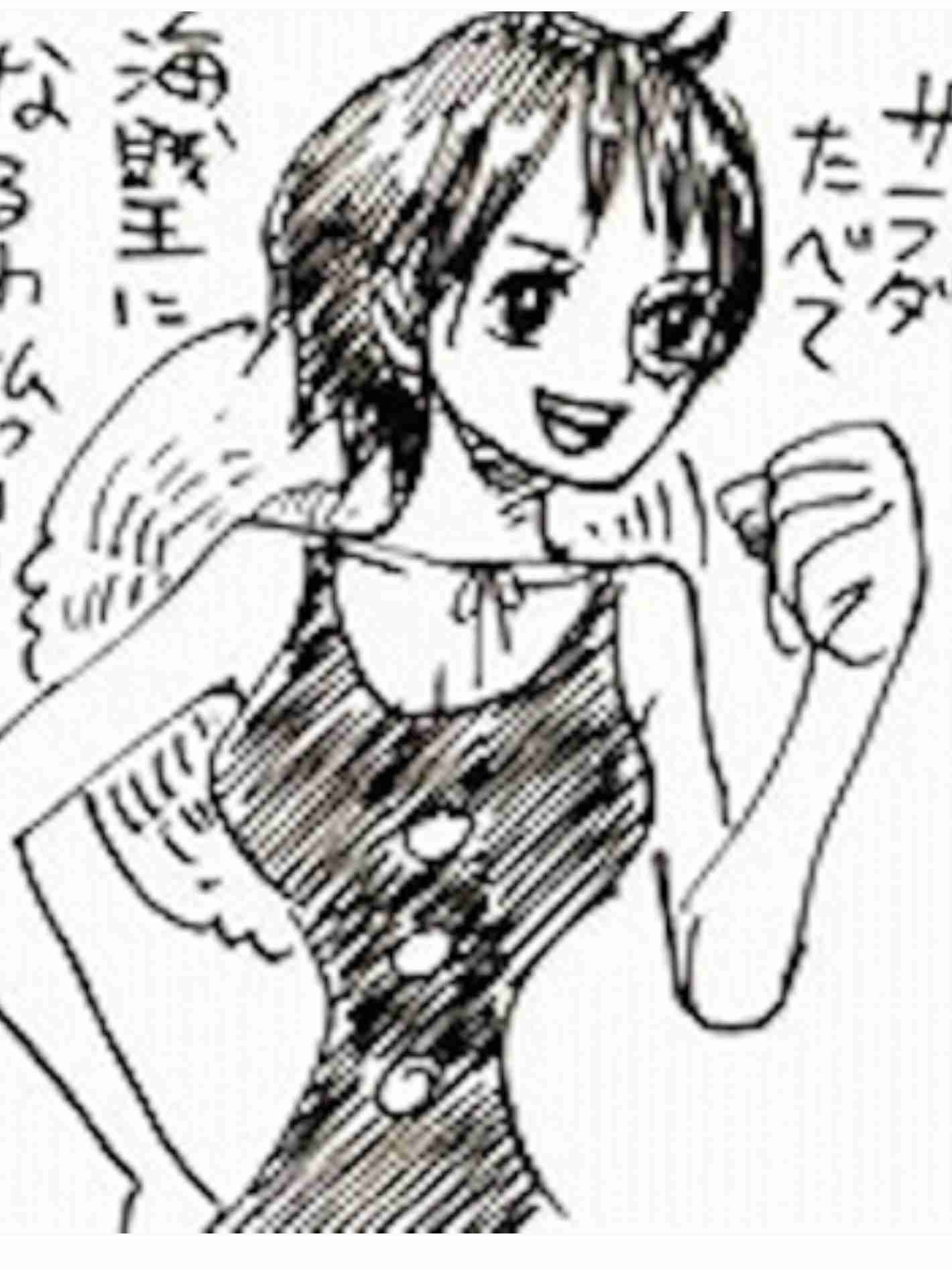 【ネタバレ注意】初期にワンピース脱落した人が知ったら驚きそうなことPart3【ONE PIECE】