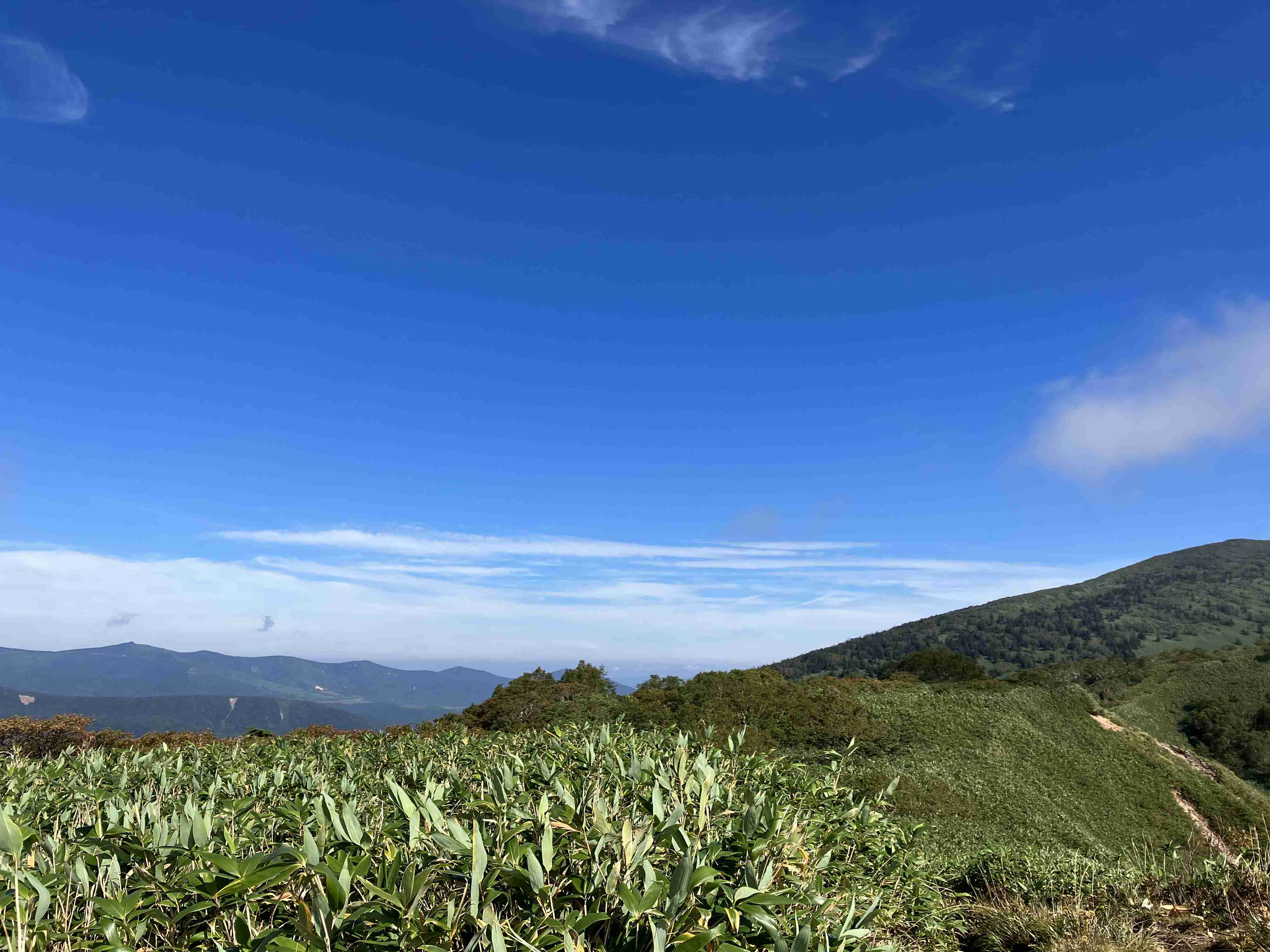 ぼっちcafé / まったりトーク【14号店】