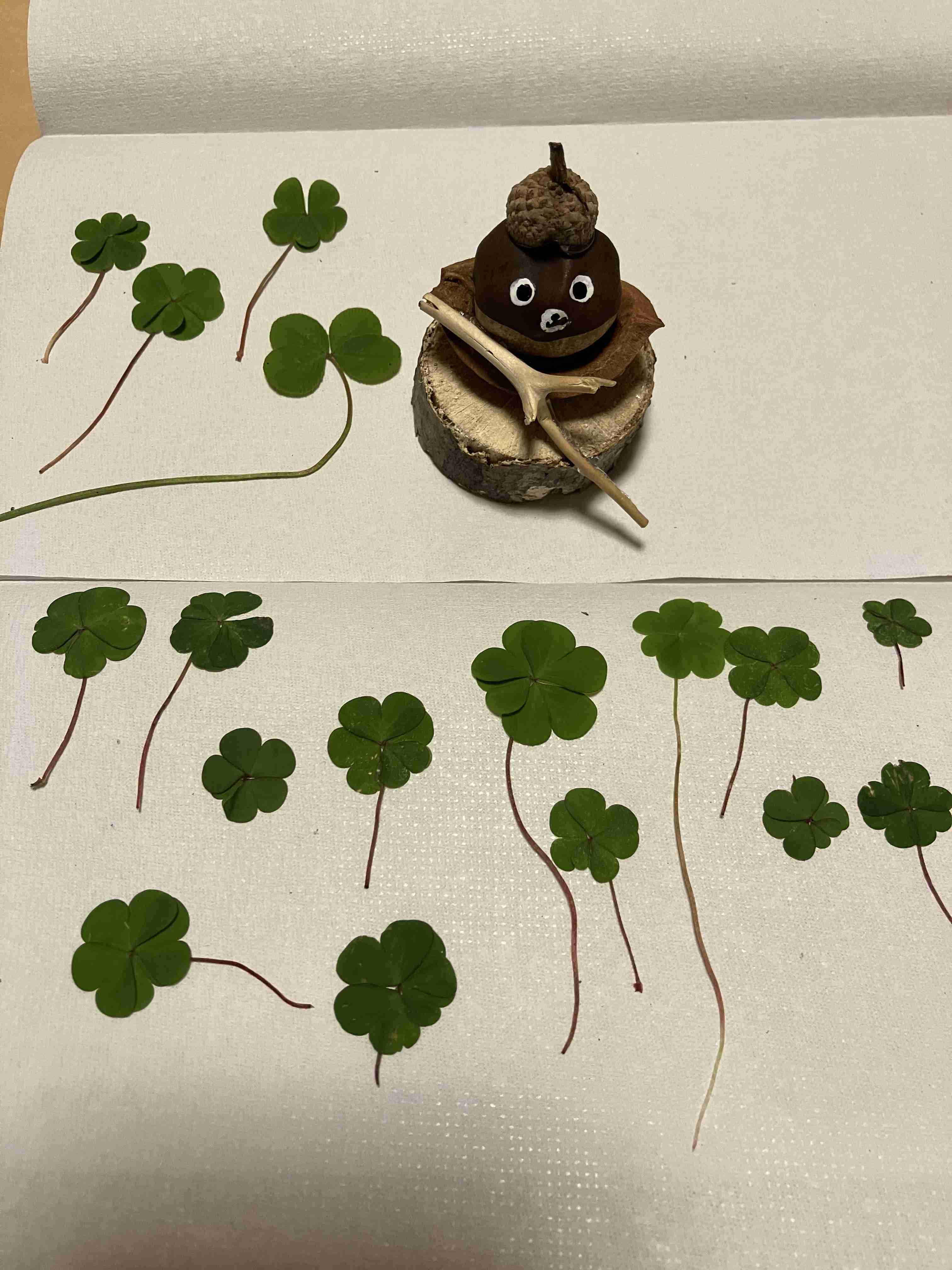 ぼっちcafé / まったりトーク【14号店】