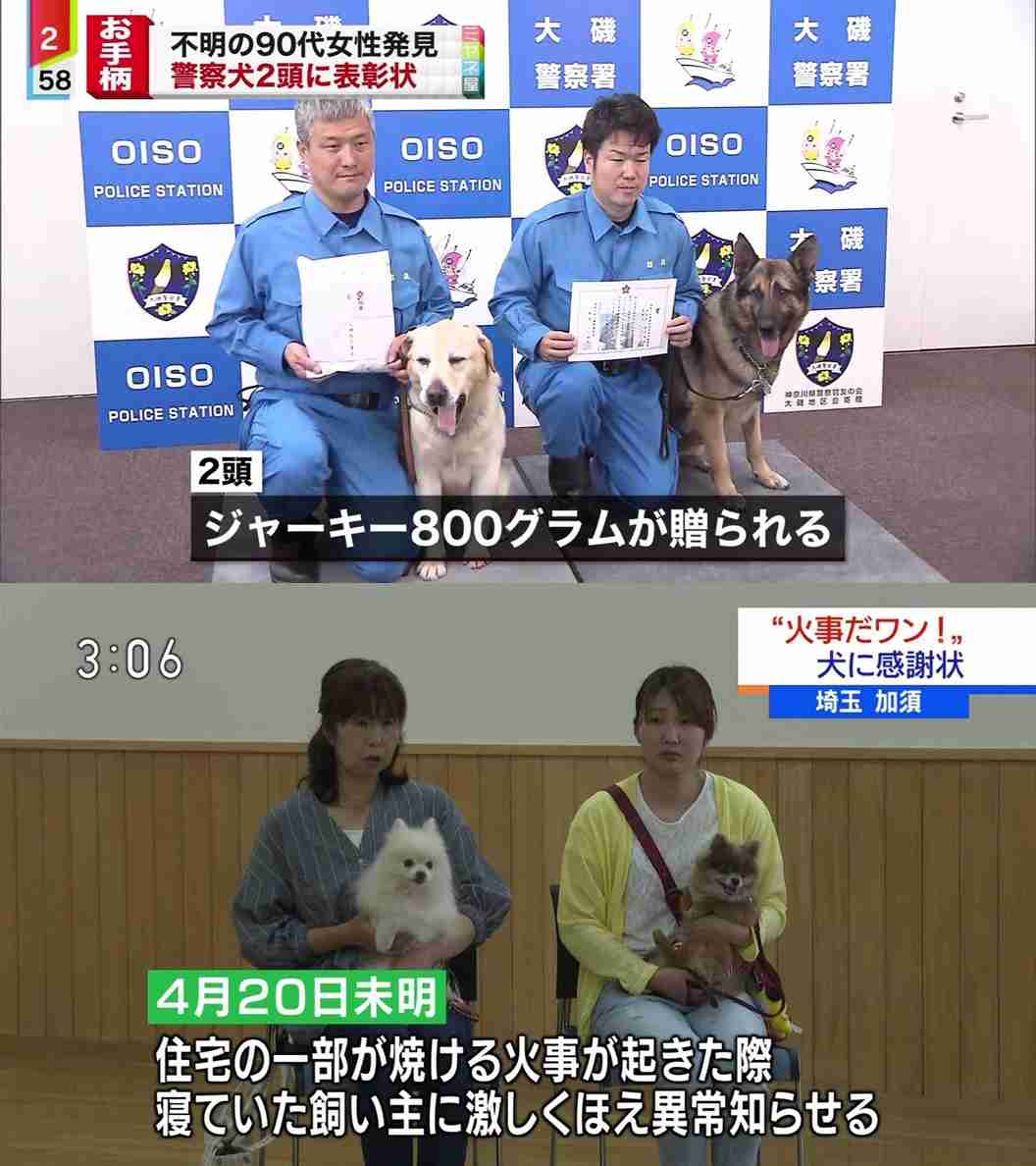 世知辛いなと思う写真を貼るトピ