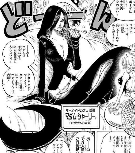 ONE PIECEのキャラデザについて話そう！【平和トピ】