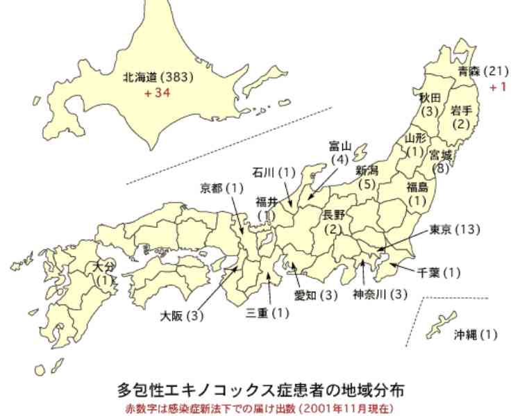 「水分がなくなり、助けて欲しい」伊豆・達磨山でソロキャンプ中の男性　準備した飲料水を使い切って救助要請＝静岡県