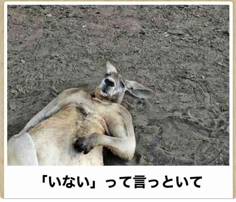 boketeで1000コメ以上を目指そう〜 part5〜