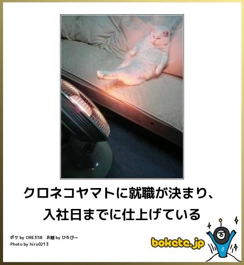 boketeで1000コメ以上を目指そう〜 part5〜